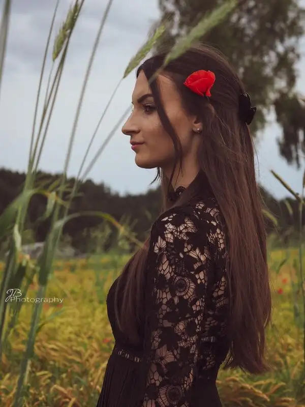 Rote Blume