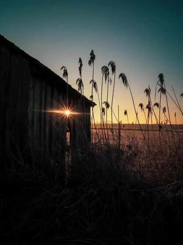 Sonnenaufgang am Scheunenrand
