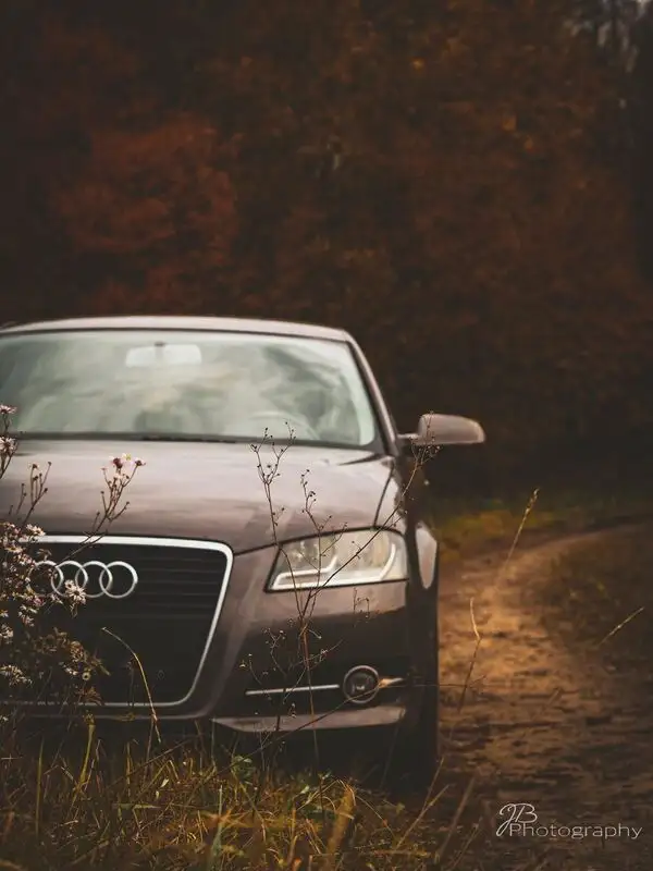 Audi im Herbst