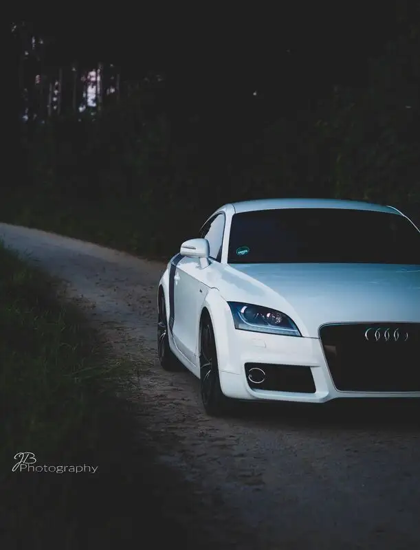 Audi im Wald